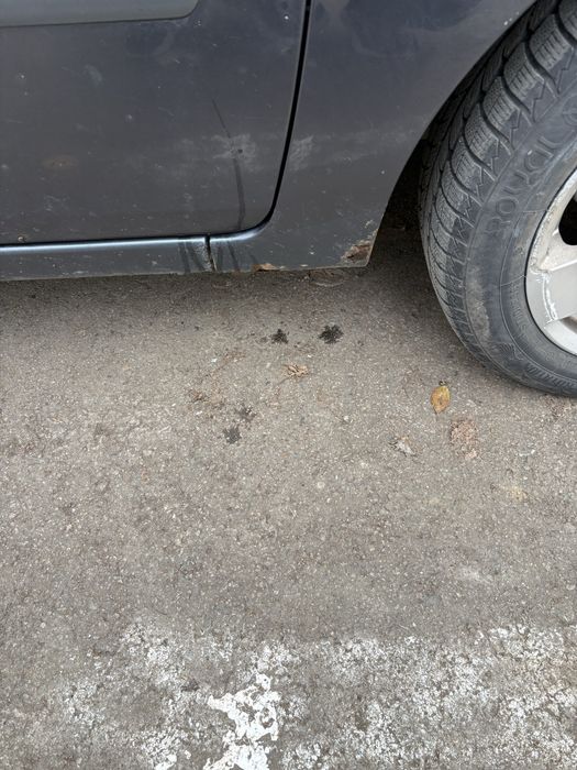 Ford fiesta              .