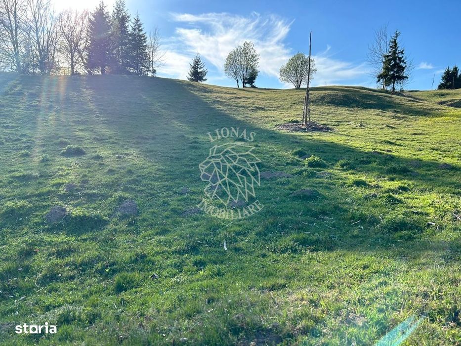 Teren 5000 mp-panorama spre Lac Colibita