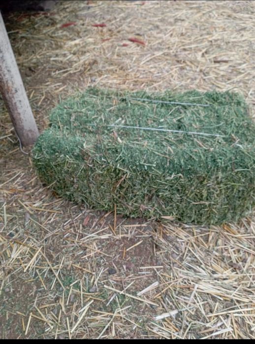 Клевер в тюках..