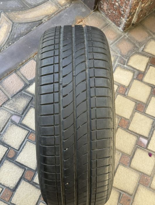 Bars balon 16 razmer
