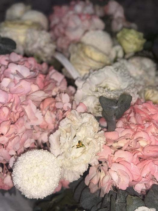 Цветы розовы новы