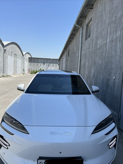 Byd song plus champion 605