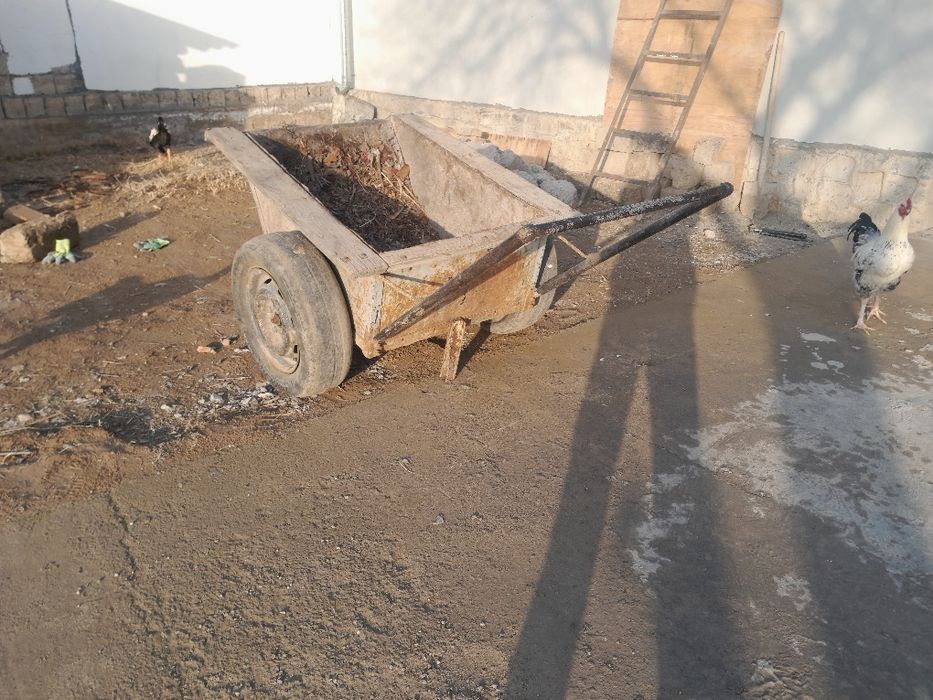 Арава икки гилдиракли