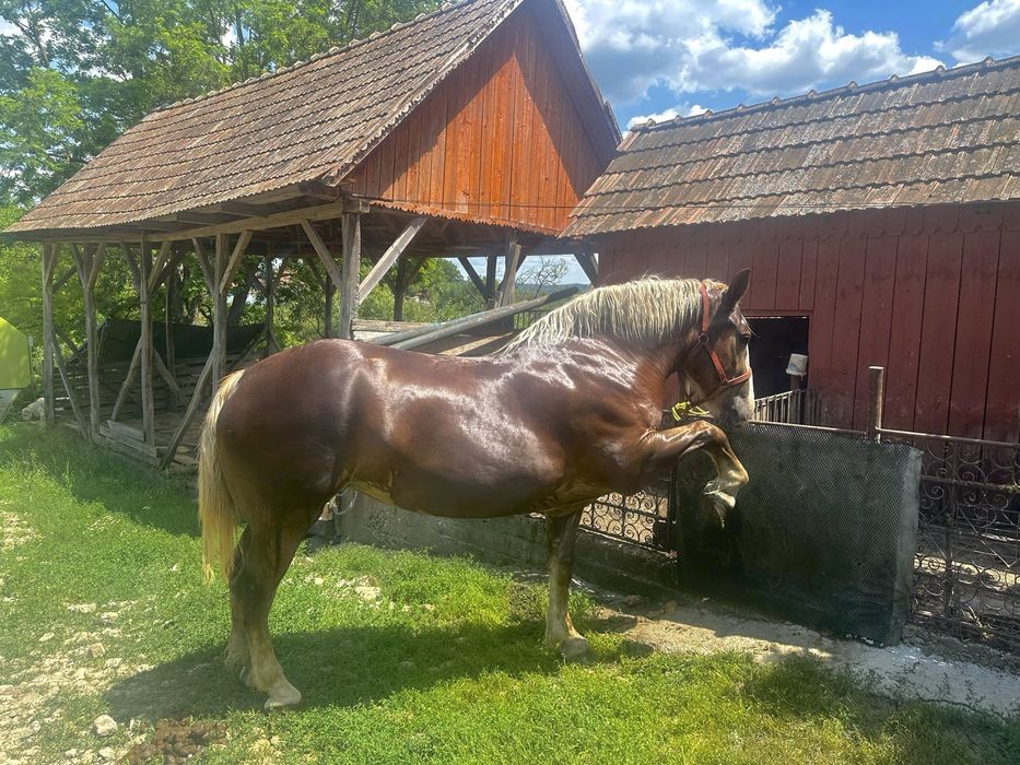 Iapa  disponibila pentru o noua casa