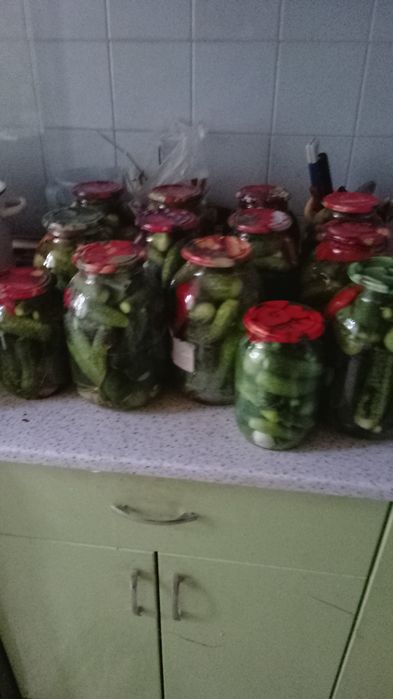 Огурчики корнюшоны домашние