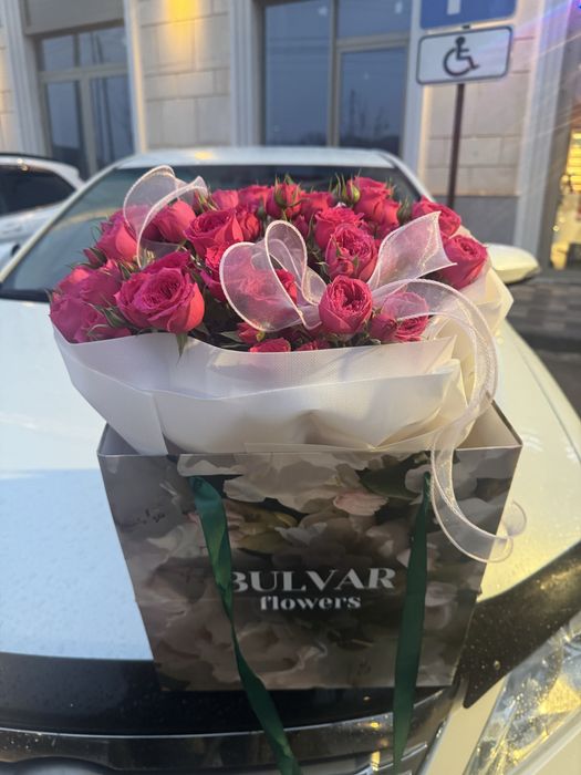 Продам цветы ……….