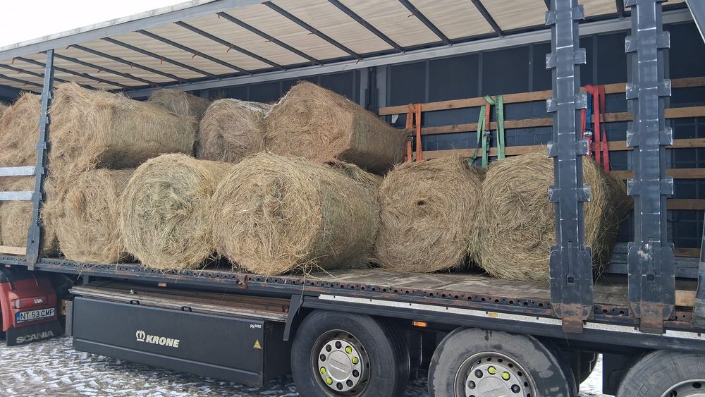 Baloti fan fb Rotunzi min.40.Or Lucerna.Drep.500 La TIR>RO;UE

Baloti