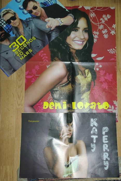 Diverse postere cu cantareti si trupe muzicale