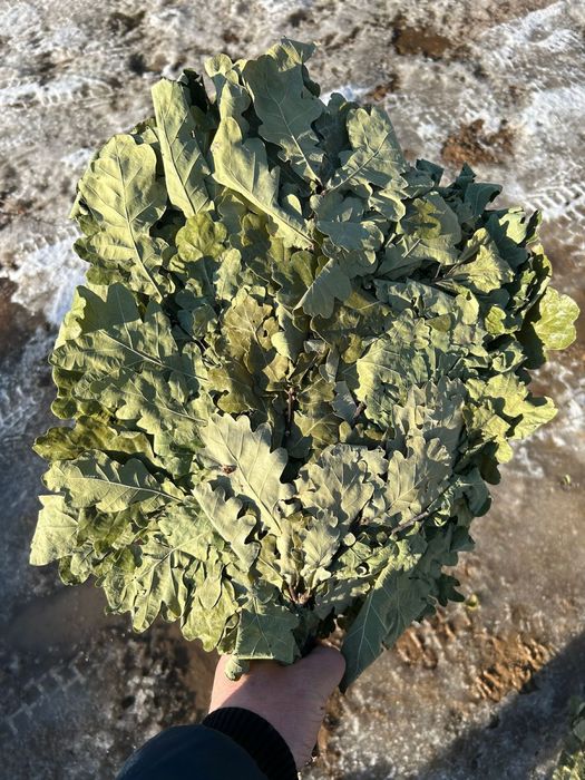 Продаются веники для бани