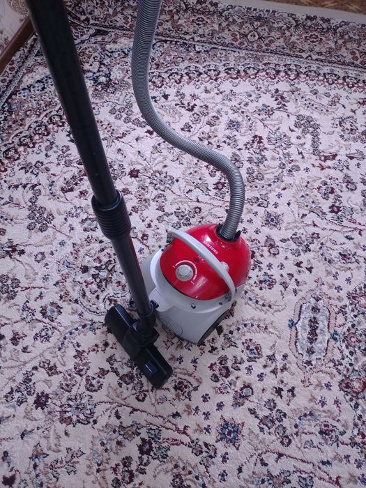 Chang yutgich pilesos