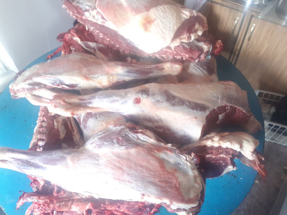 Жылқы ,сиыр еті сатылады!