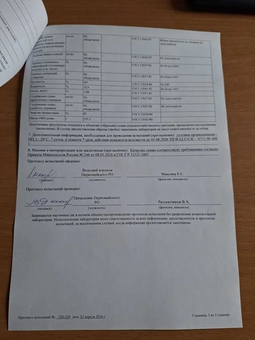 Семена красного нута