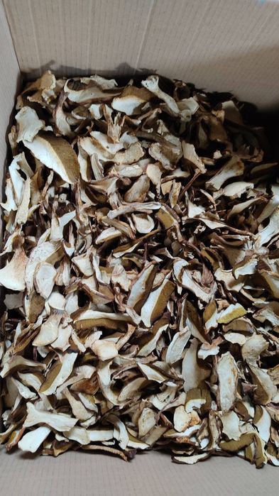 Суха борова манатарка, пачи крак