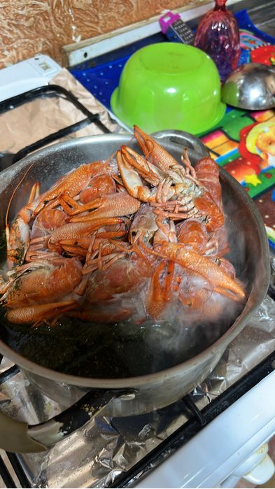 Свежее поступление раков