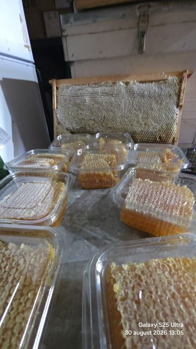 Fagure Cu Miere...Ramă Fagure Cu Miere Întreagă