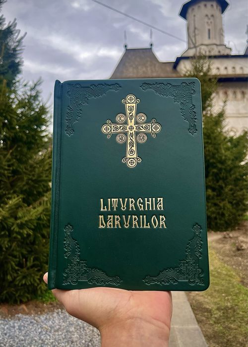 Legâm cărti in piele