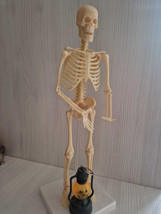 Статуэтка скелет