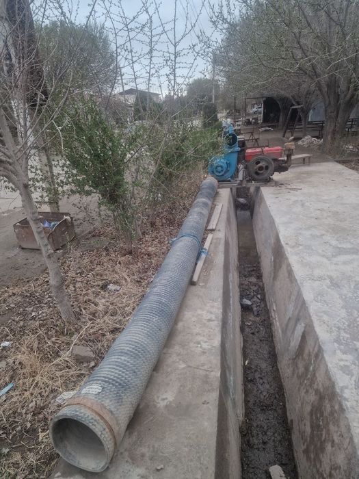 Jumong nasoʻs 250 lik