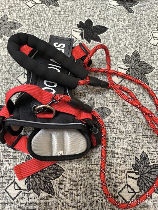 Шлейка с поводком