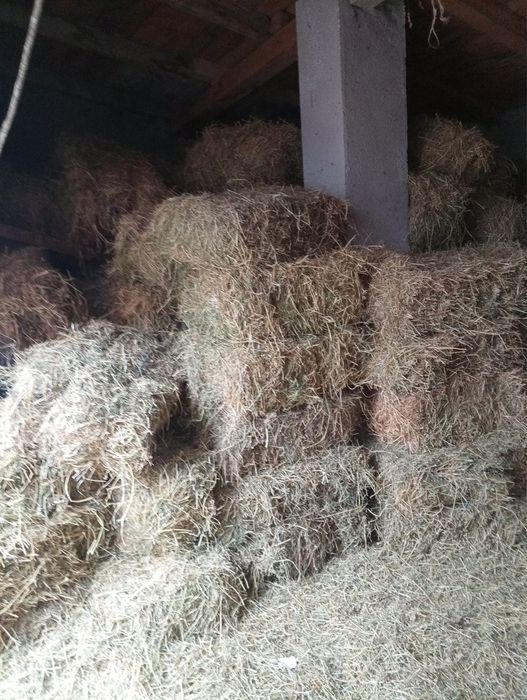 Vând Baloti Lucerna Coasa 1 si 2