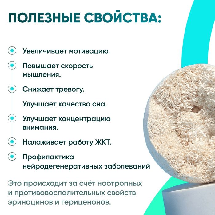 Lion's mane, он же Ежевик ежовик Гребечатый - 50% мицелий 50 плоды