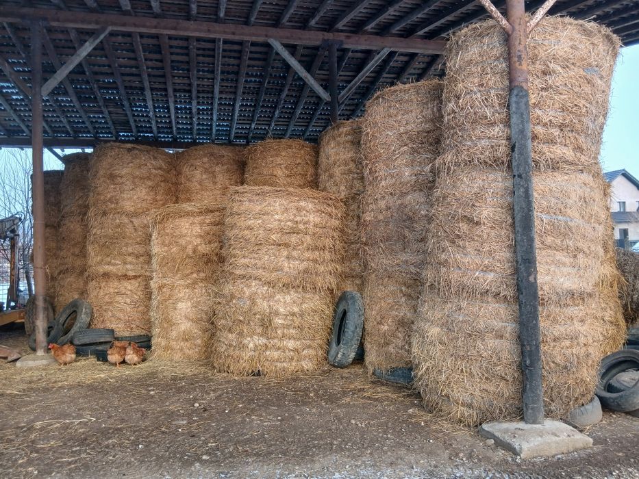 Baloti rotunzi de lucernă