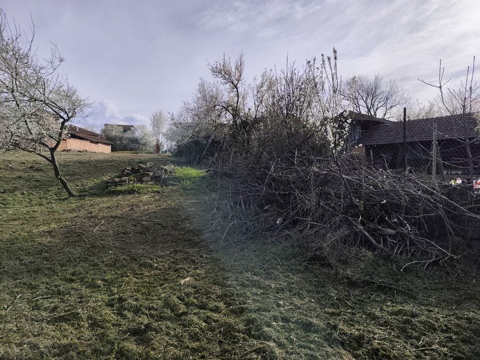 Косене и почистване на дворове.