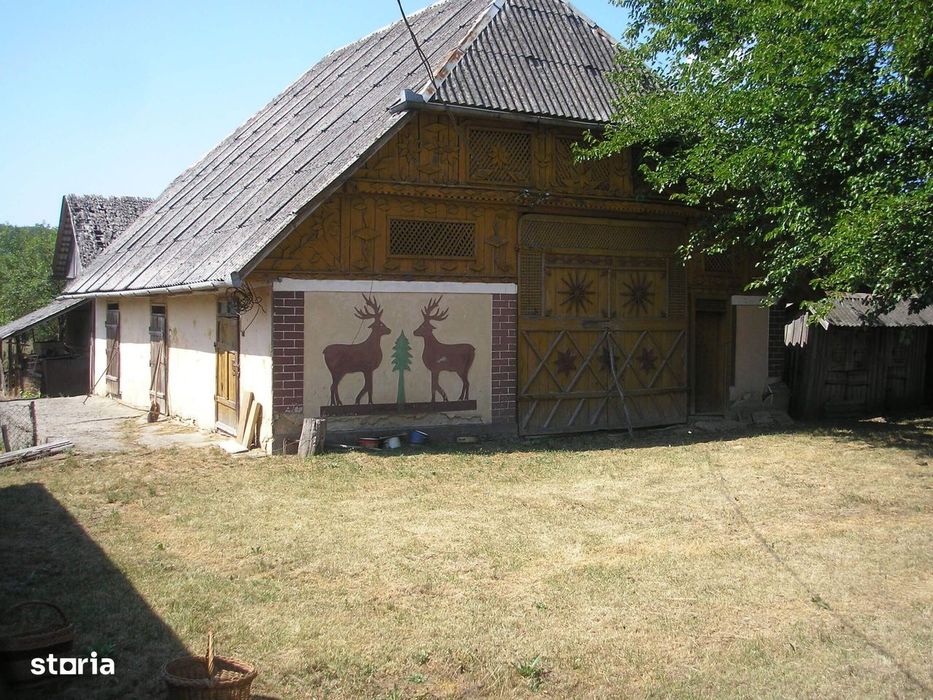 Zona Codrului, la numai 43 Km de Municipiul Baia Mare !