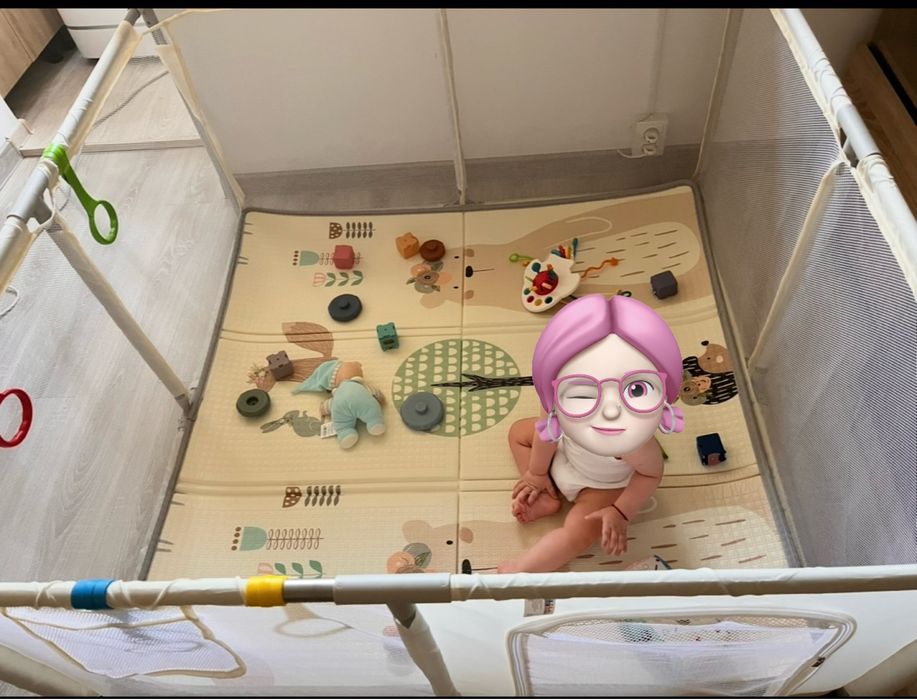 Tarc de joaca Nichiduta