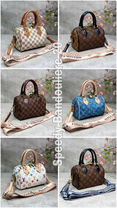 Genti Louis Vuitton dama noi