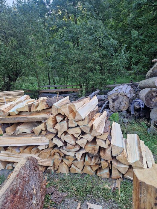 Vând lemn Foc rășinoasă/ fag