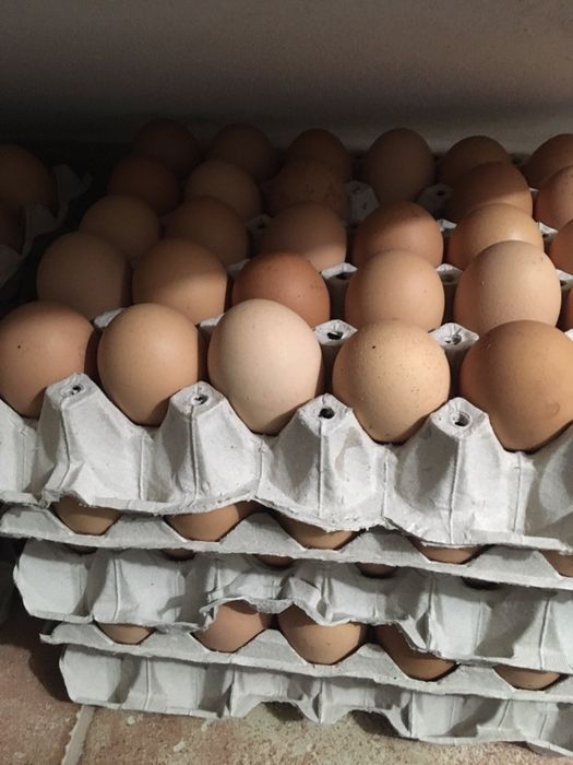 Oua de casa, oua de casa