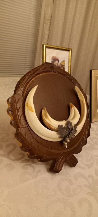 Немски трофеи диво прасе, сръндак/Чинии ловна тематика