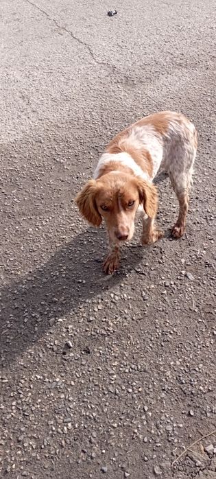 Уштобе Охотниши.