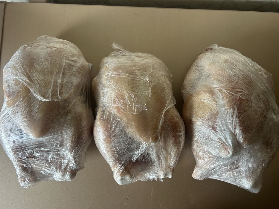 Продам мясо бройлера