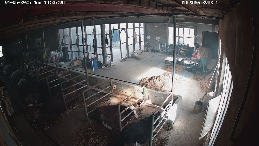 Molga qaraydigan ishchi  oila kerak