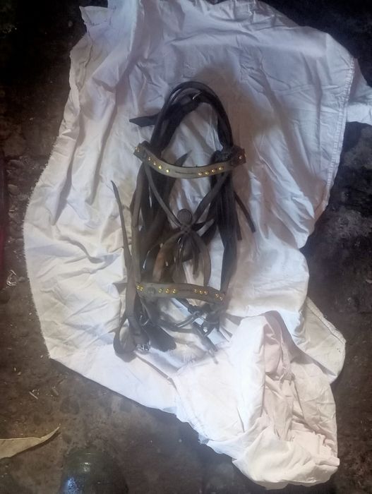 Жүген, өмілдірік.