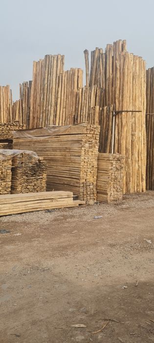 Terak mahsulotlari optim