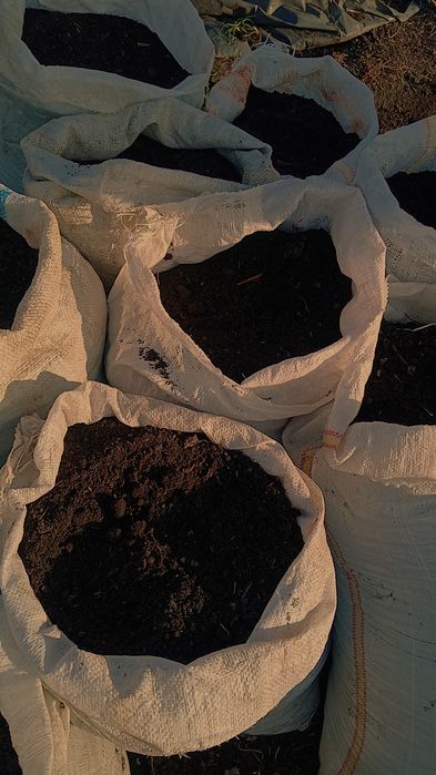 Vând mranită la saci