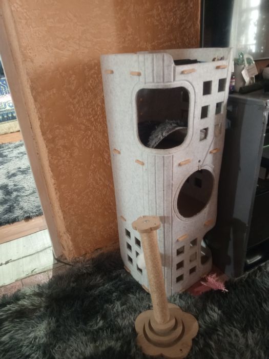 Продам кошку по имени Кыся