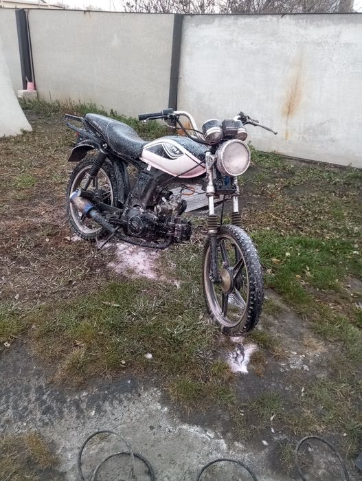 Альфа мопед продам