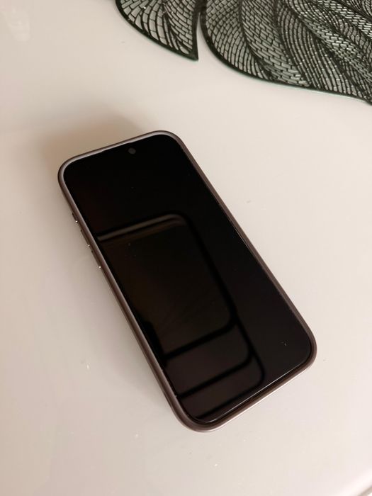 iPhone 16 pro max  512GB 10/10