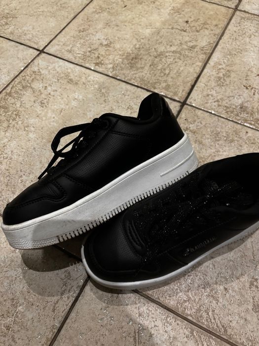 Кецове Champion 36 намер