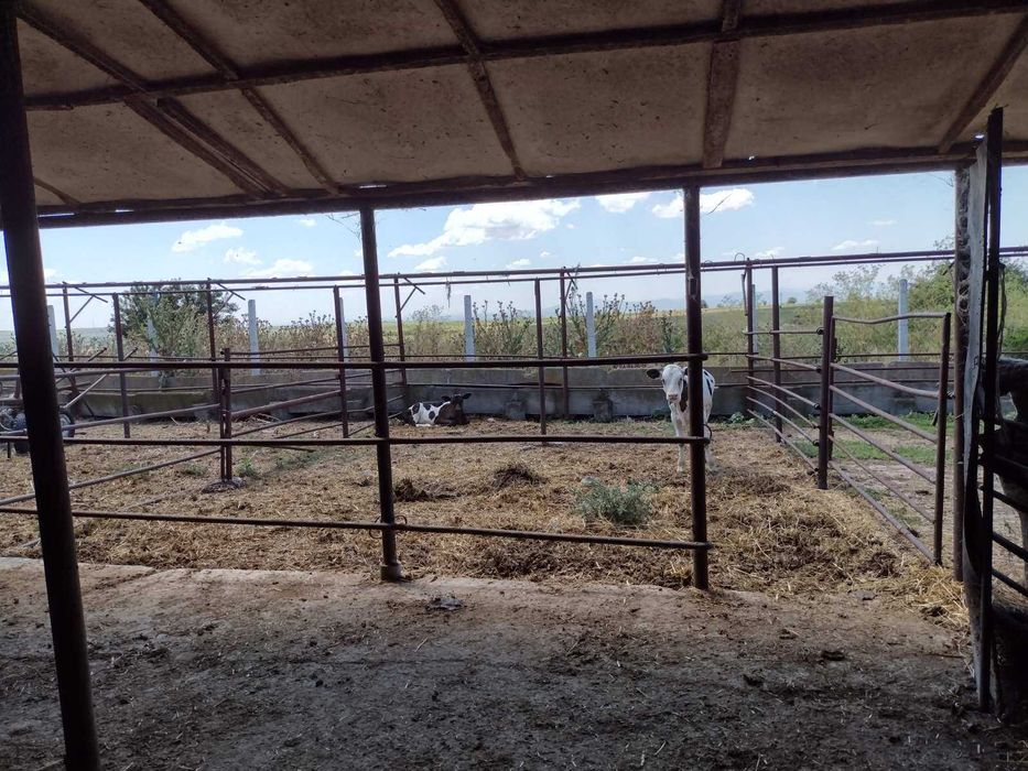 Продава се Промишлена сграда в Пловдив, Кършияка - 5000 кв.м за 20 €/кв.м - Снимка #8