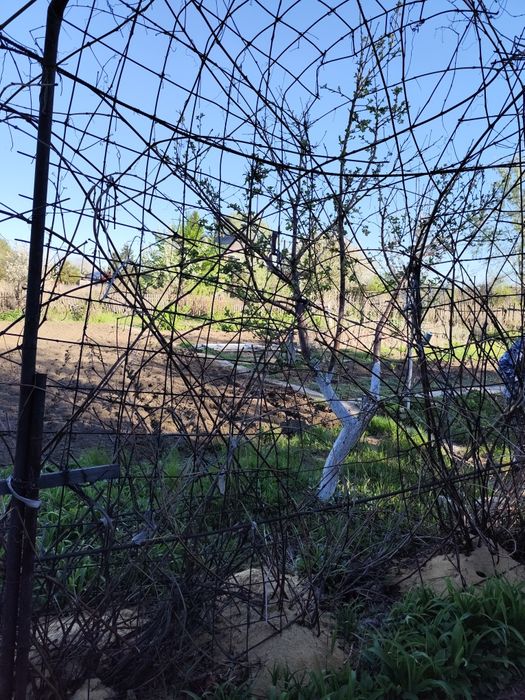 Продам дачу на Орленке