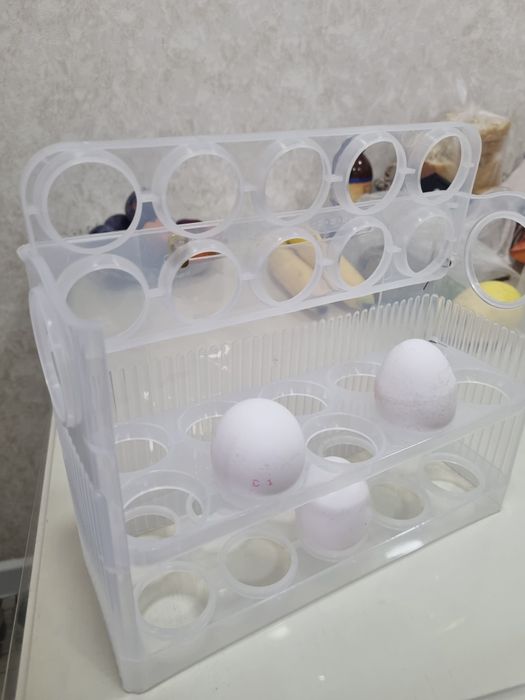 Продам контейнер  для яиц