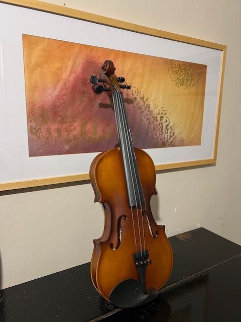 Акустична Цигулка (4/4)