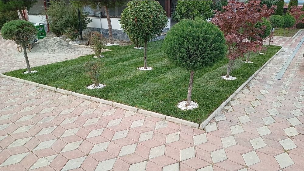 ÎNTREȚINERE ȘI AMENAJARE SPAȚII VERZI – VÂLCEA 

Ofer servicii complete pentru curți, grădini, case de vacanță și spații comerciale