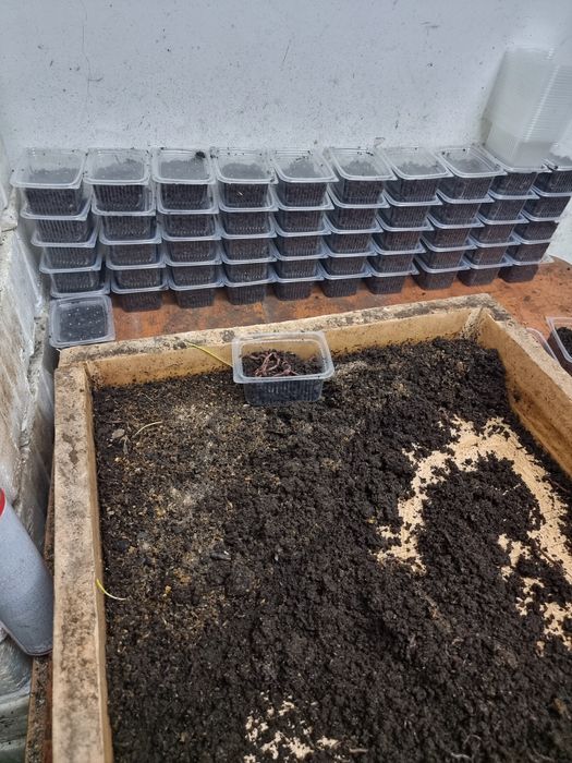 Биогумус, Биогумус!