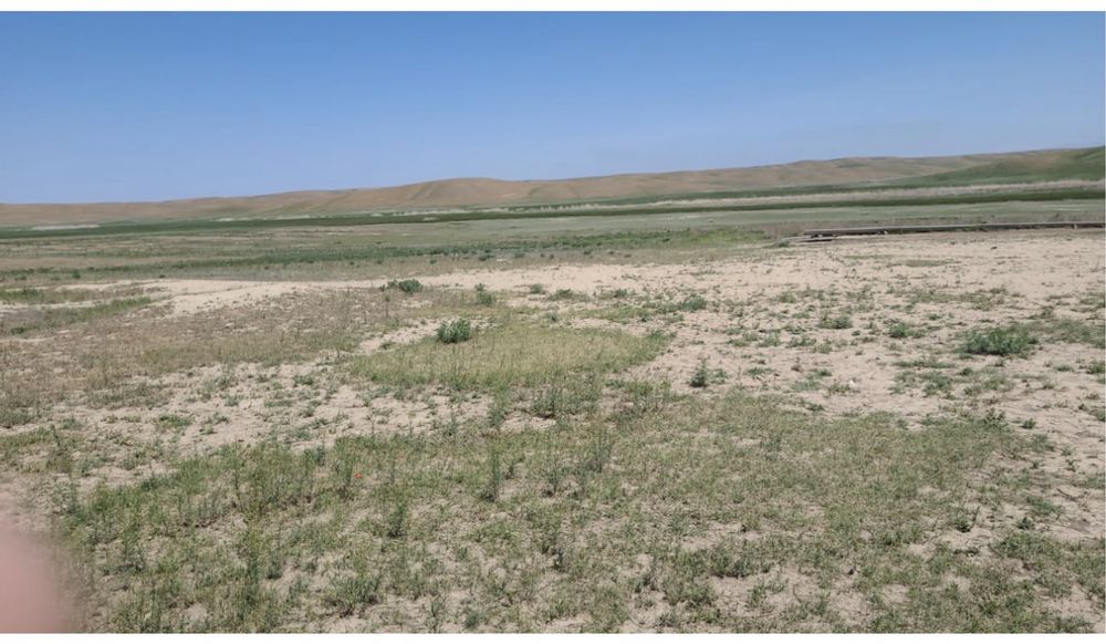 Фазенда крестянское хозяйство кашар